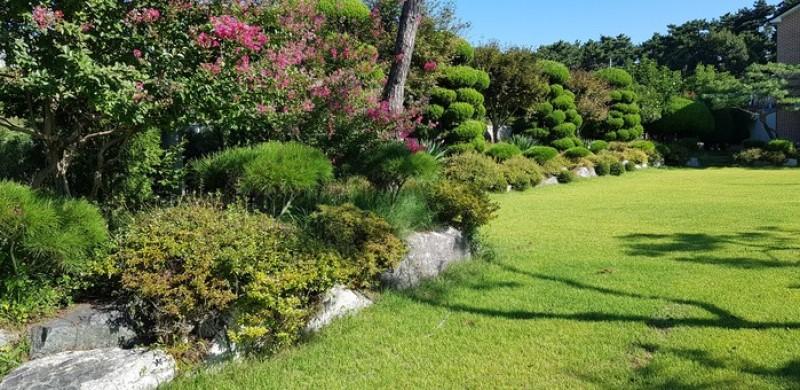 Daebudo Tasha&#39;s Garden Pension-3