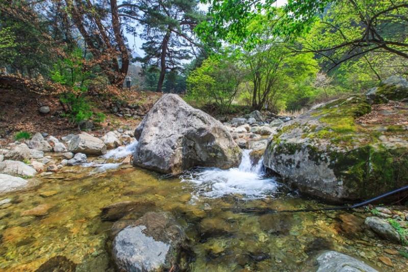 Yangpyeong Boseoksangja Pension-14
