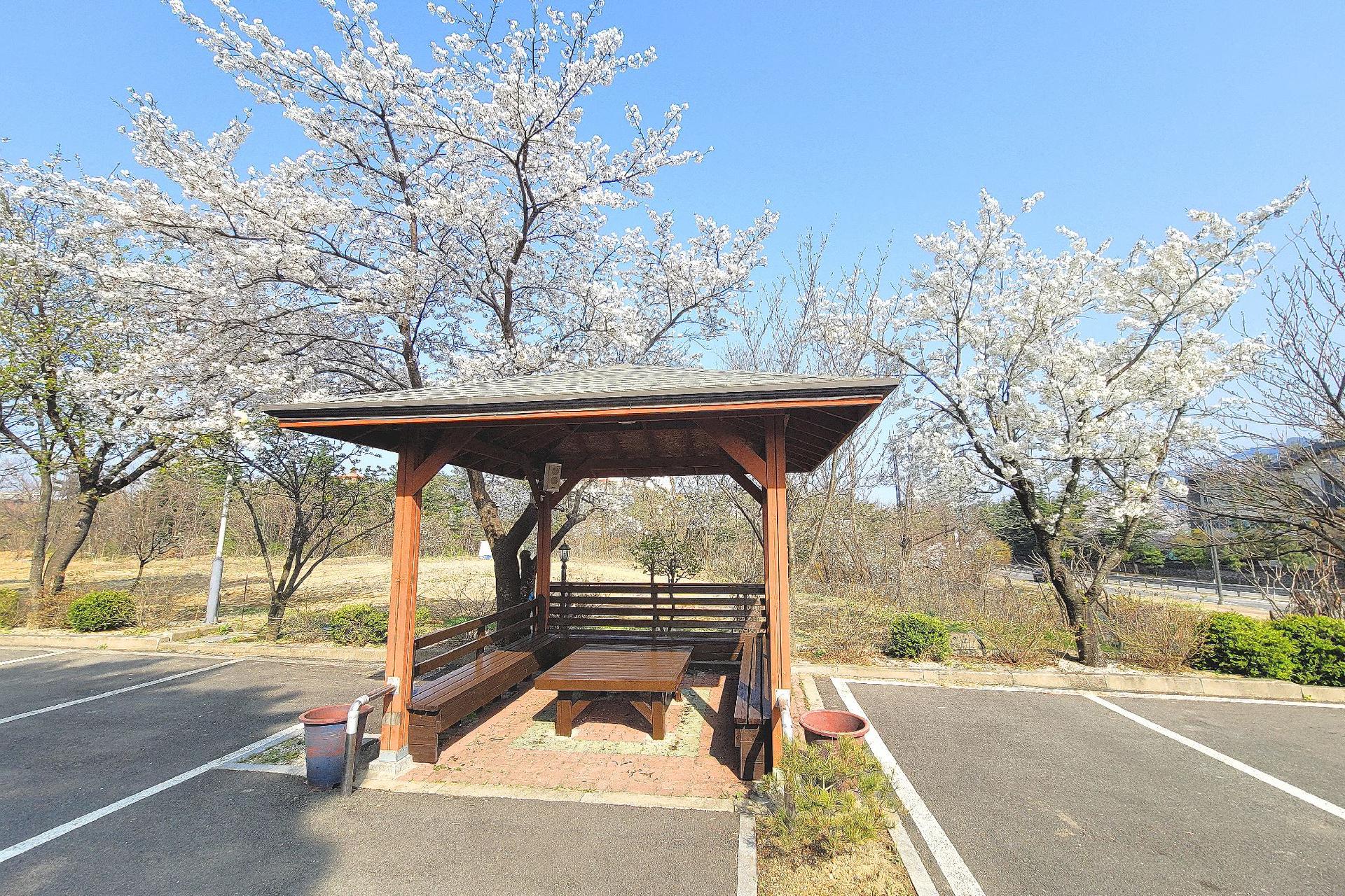 대표 사진