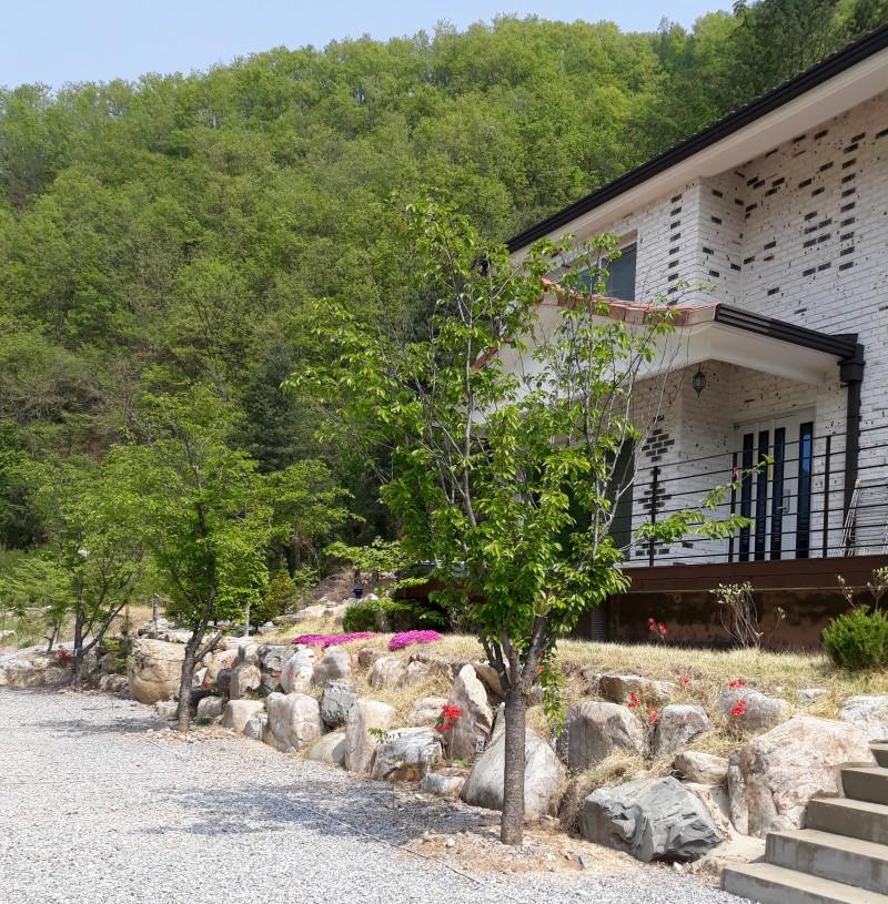Yeongwol Neulpureun Pension Camping Site (Special Offer)