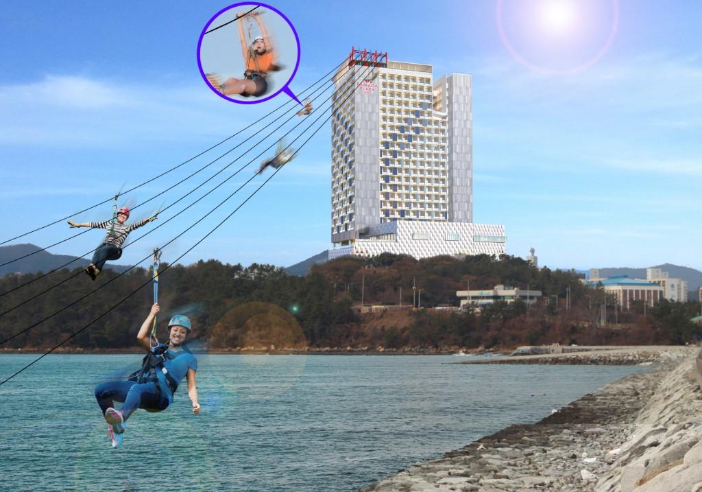 대표 사진