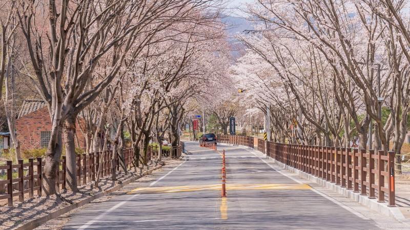 숙소 시설