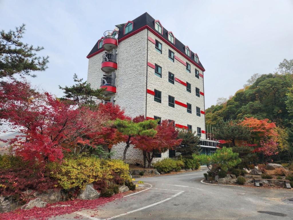 대표 사진