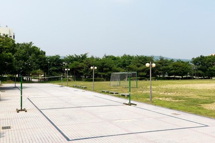 대표 사진