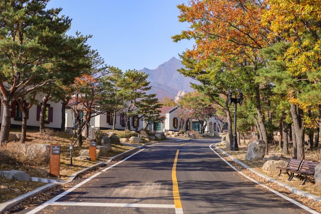 대표 사진