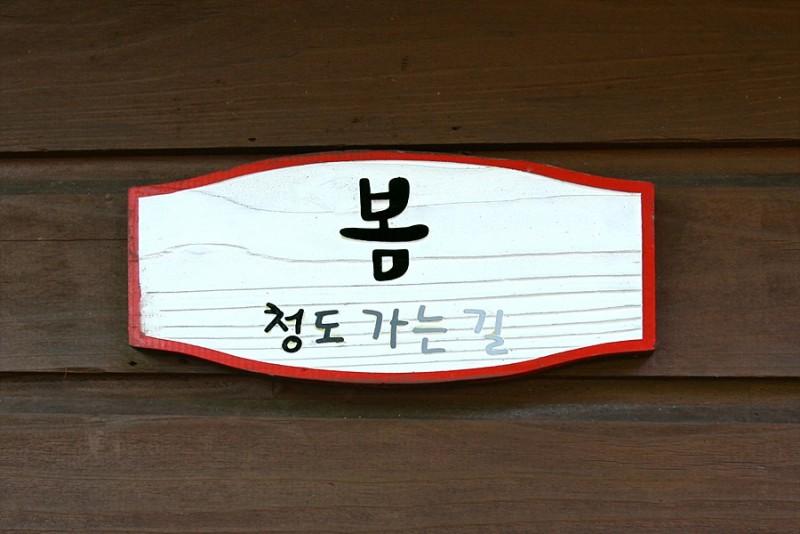 대표 사진