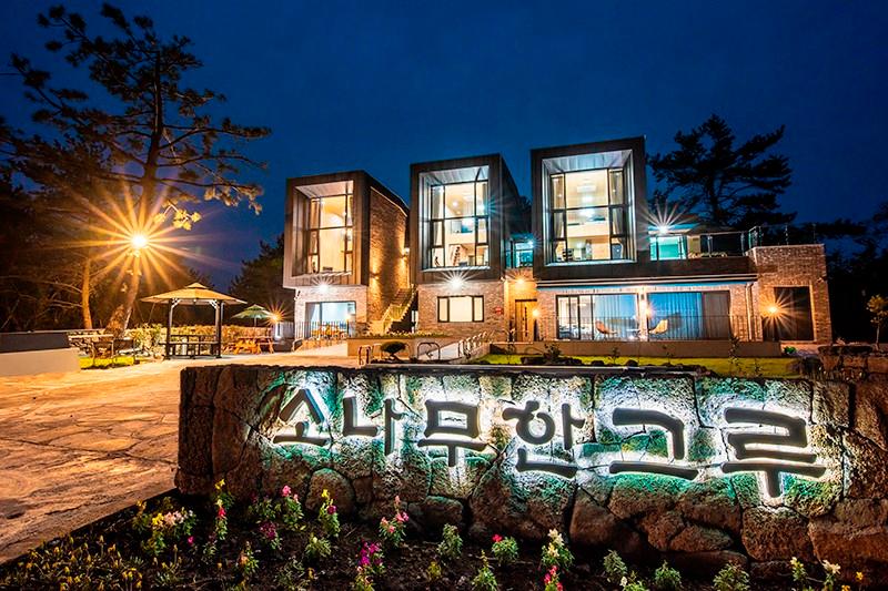 대표 사진