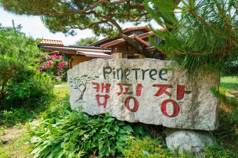 Pocheon Pine Tree Glamping Poolvilla-25