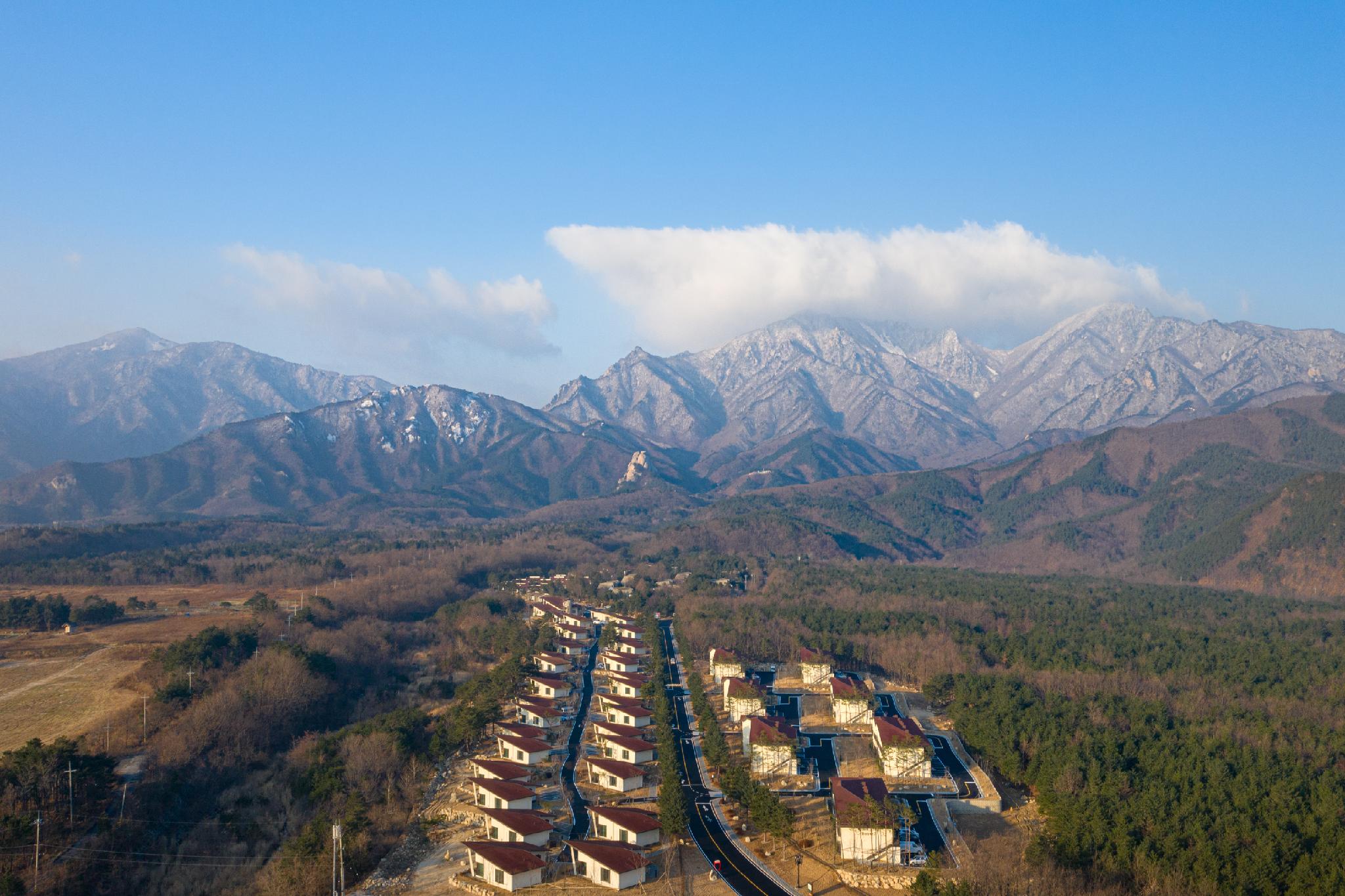 대표 사진
