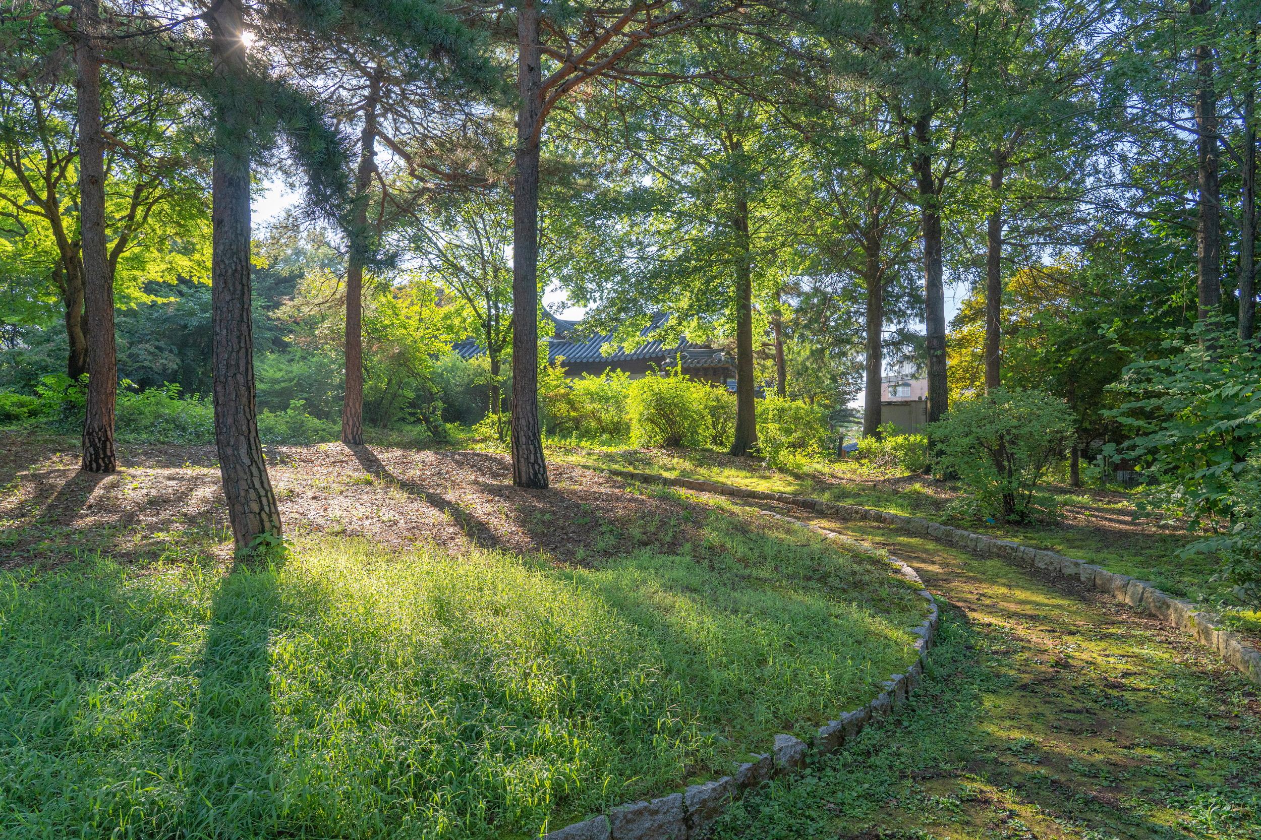 Mayfield Hotel Seoul-9