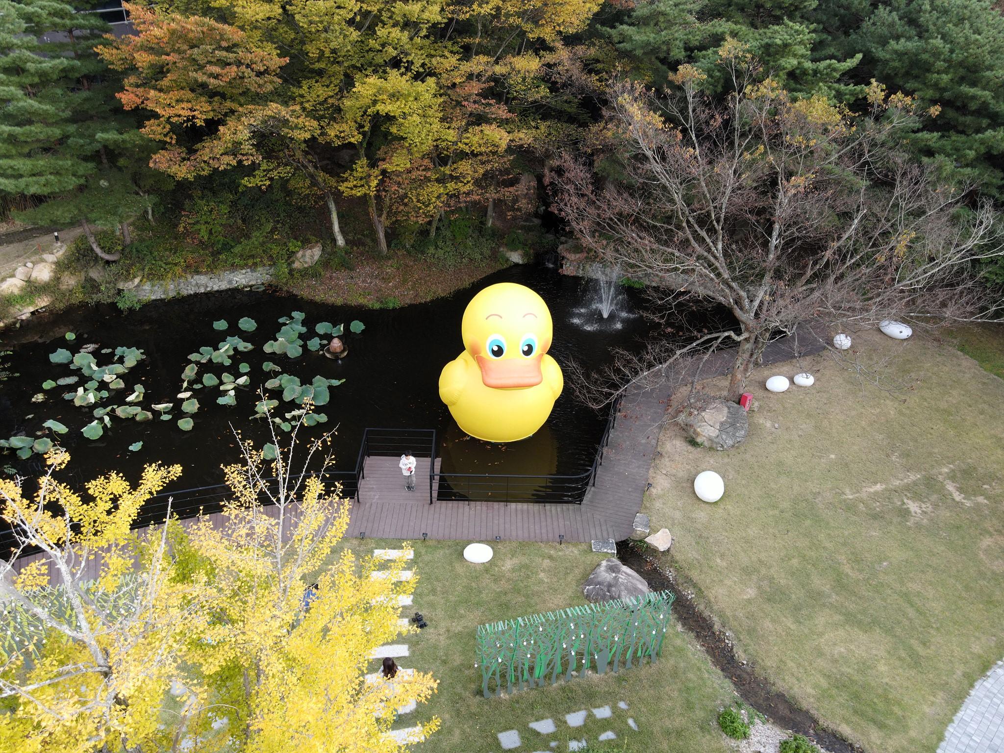 대표 사진