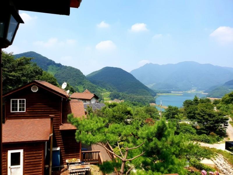 대표 사진