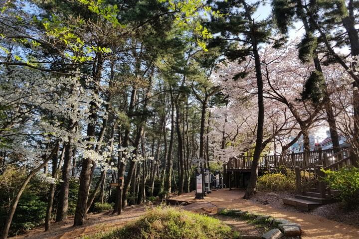 Busan Suntree Hotel-16