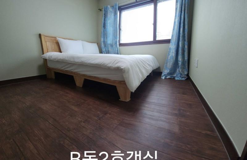 대표 사진