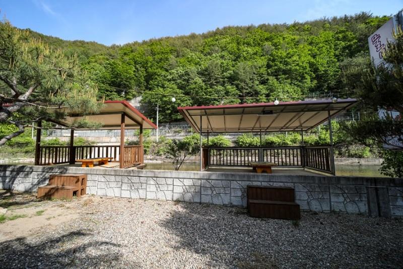 대표 사진