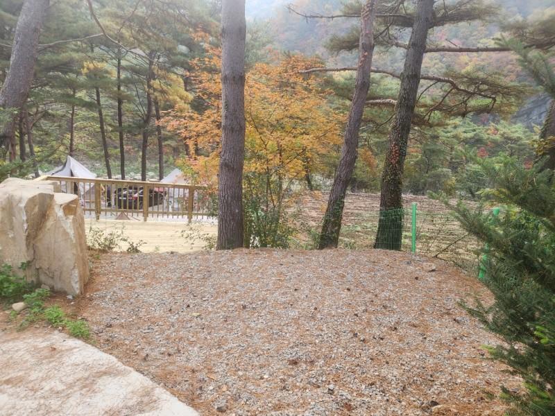 대표 사진