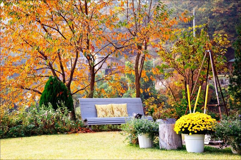 Yangpyeong Viaggio Pension-12