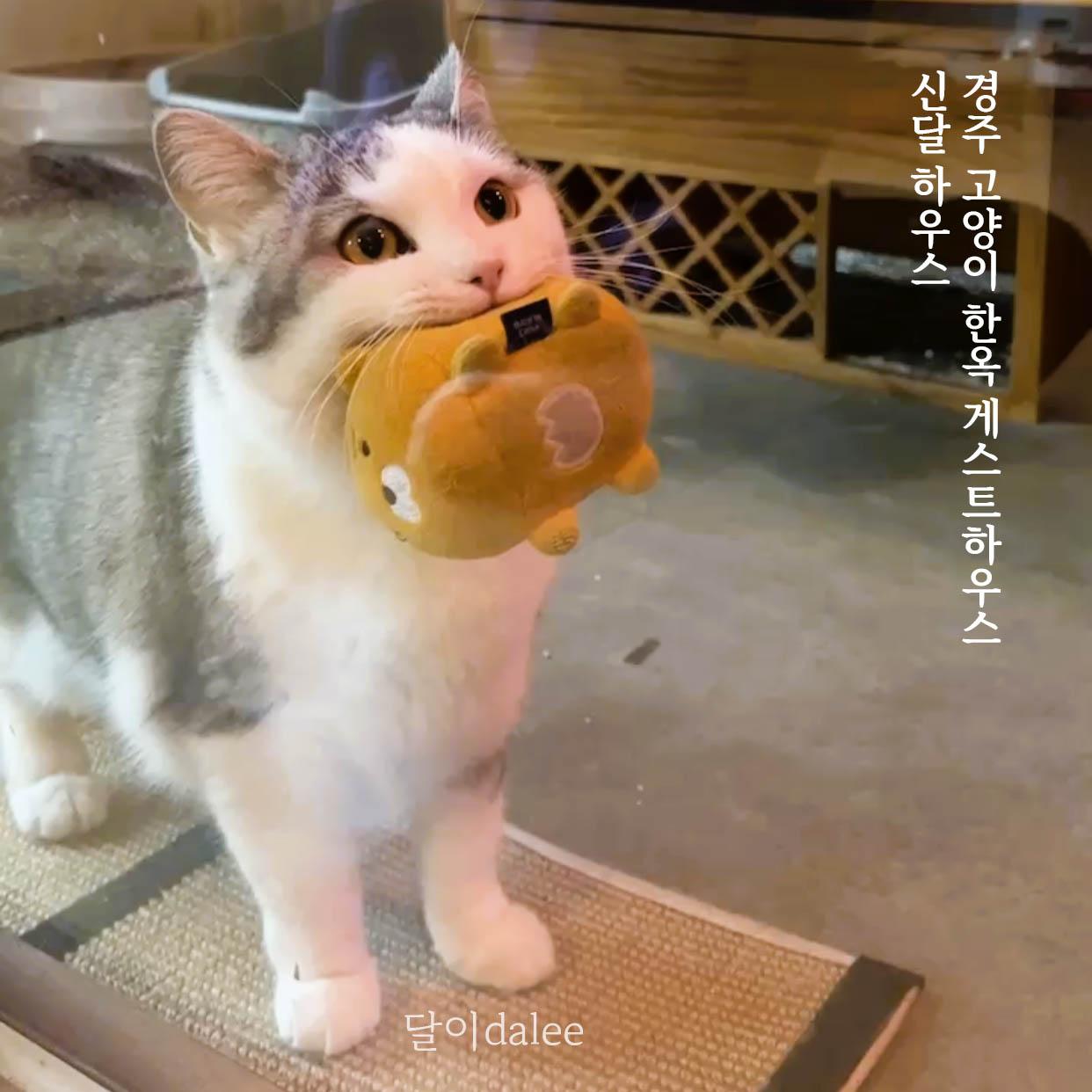 숙소 시설