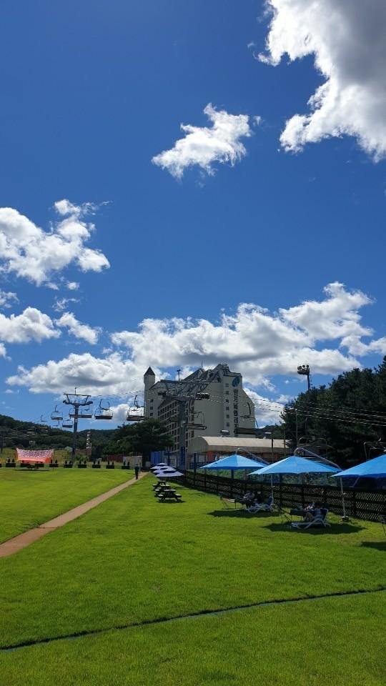 Yangji Pine Resort-4