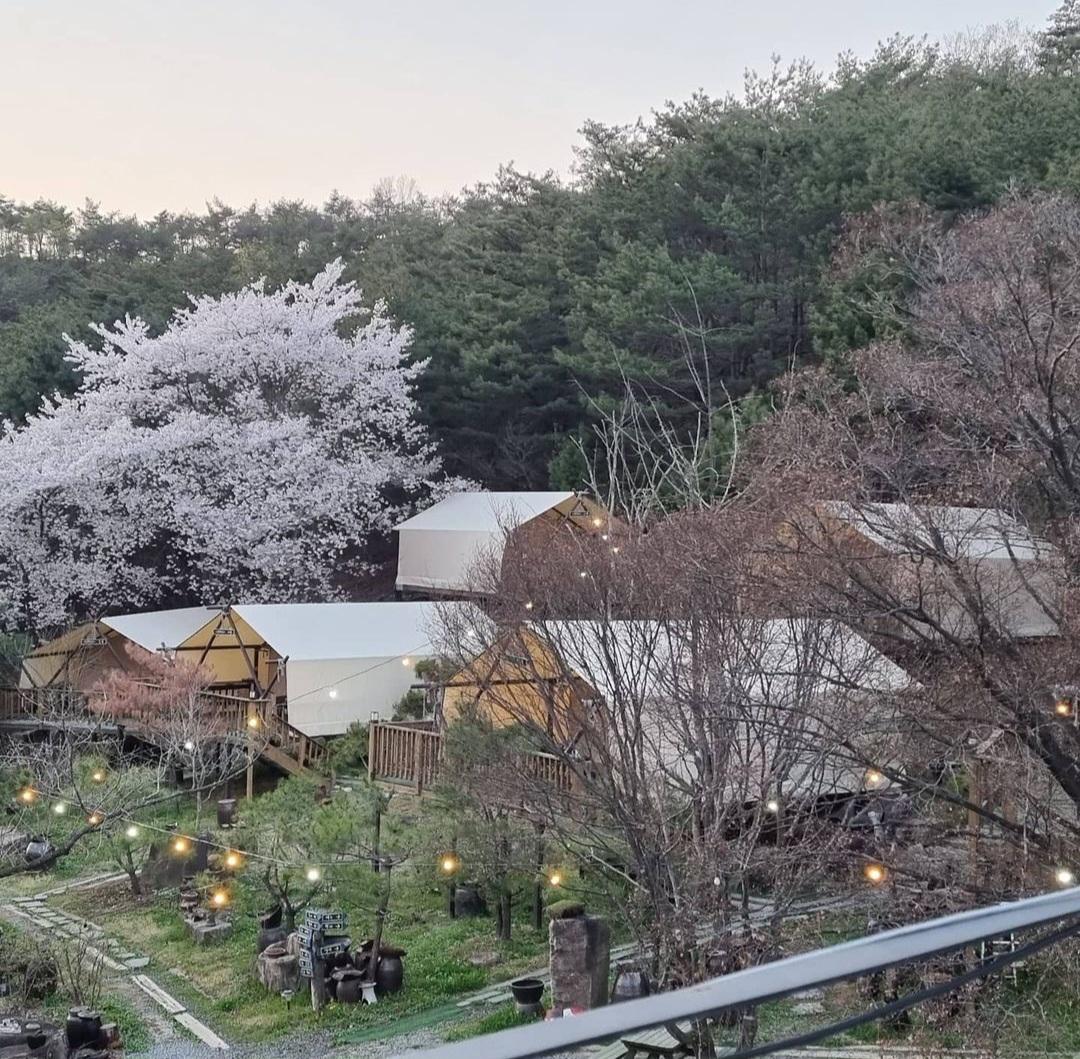 Jecheon Cheongpung World Nice Glamping