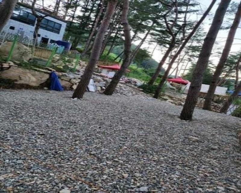 대표 사진