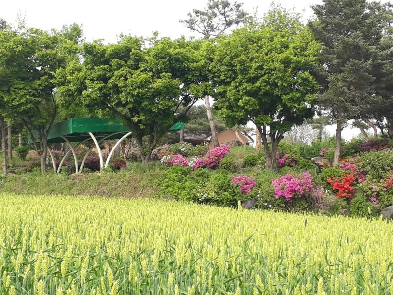 숙소 시설
