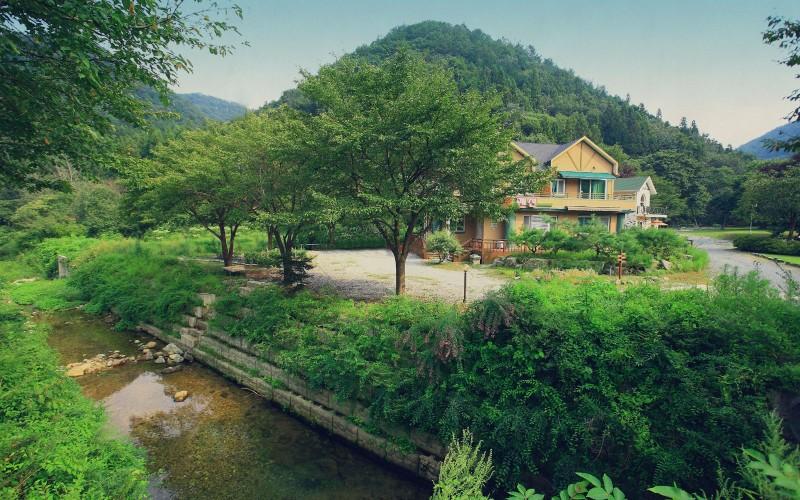 대표 사진