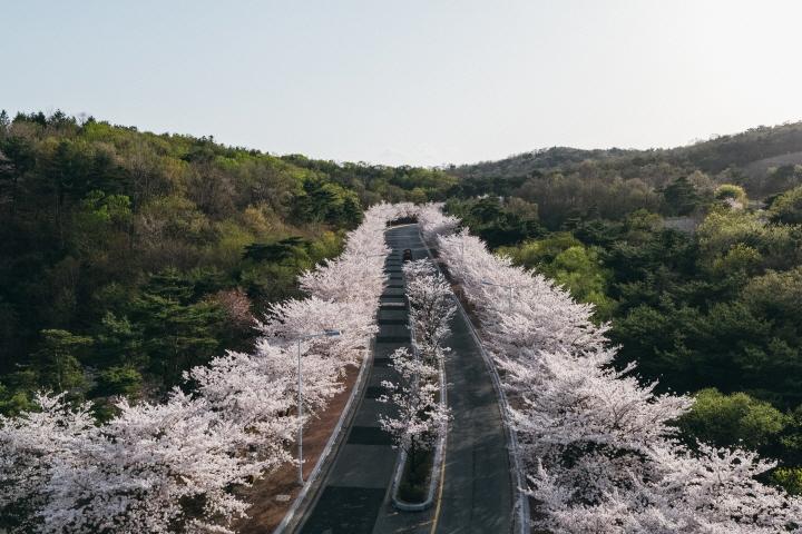 대표 사진