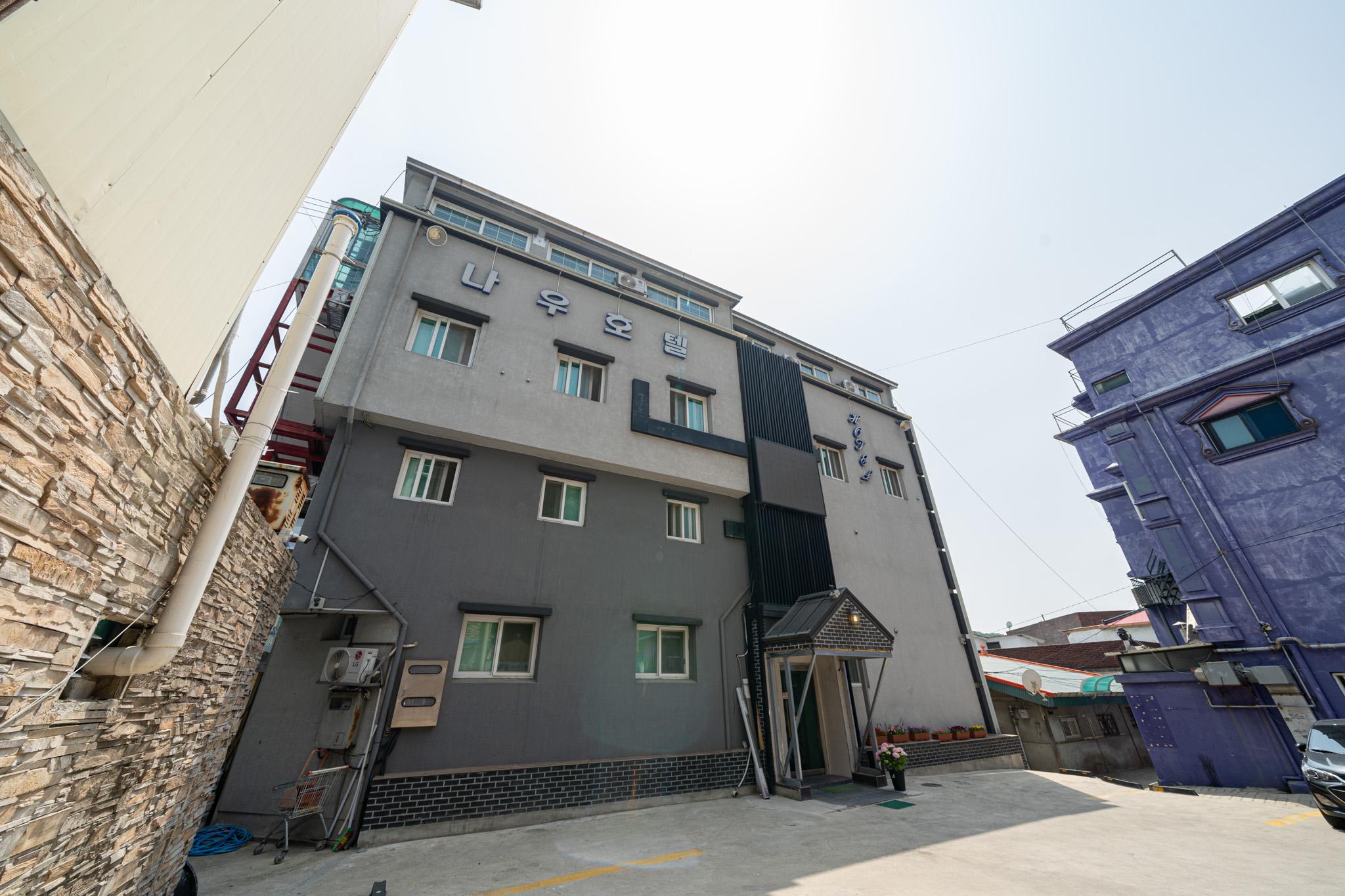 Paju Now-6