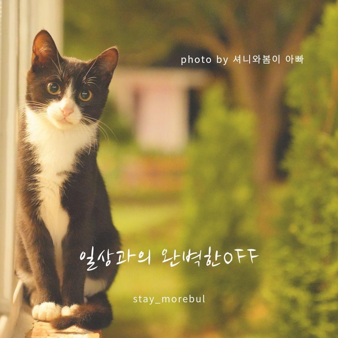 숙소 외관