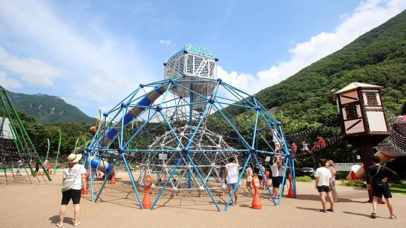 대표 사진