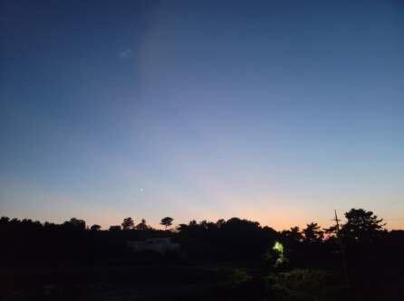 기타