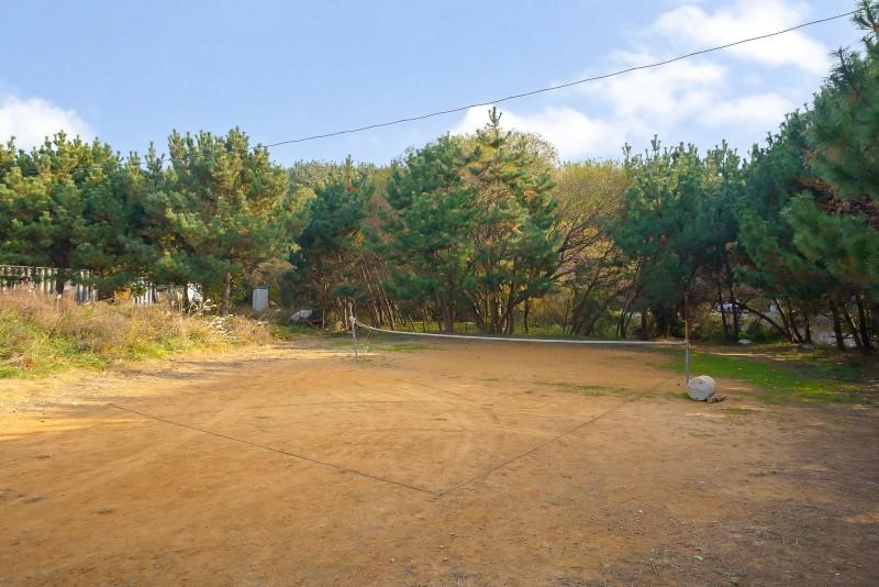 Daebudo Seayard Pension-12