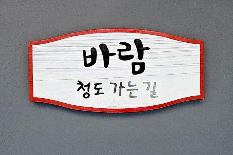대표 사진