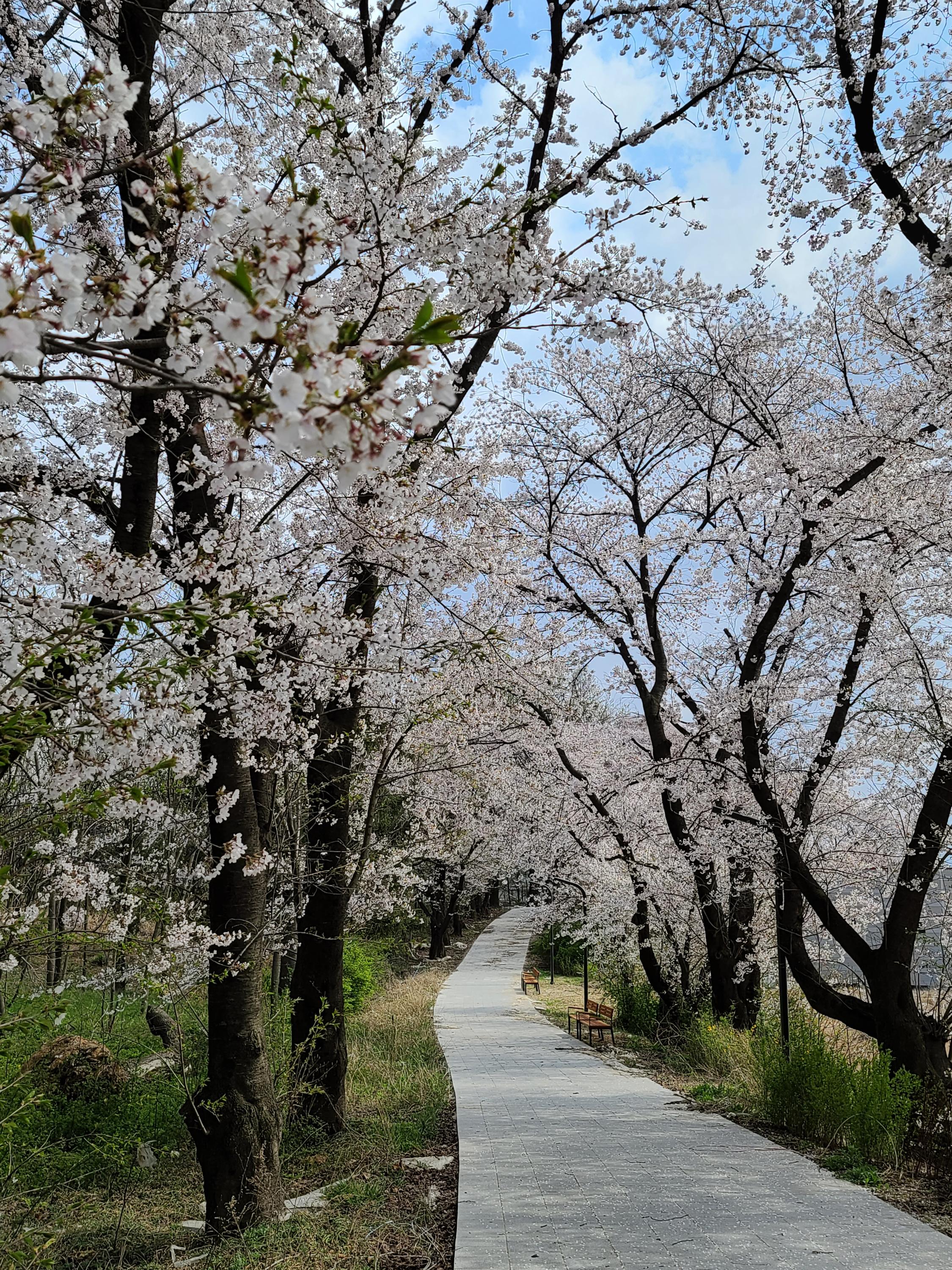 Osan Studio 9 Self check-in Motel-8