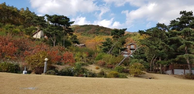 Gimpo Munsusan Tourist Farm Pension-19