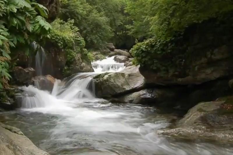 Pocheon Sanulrim Pension-2