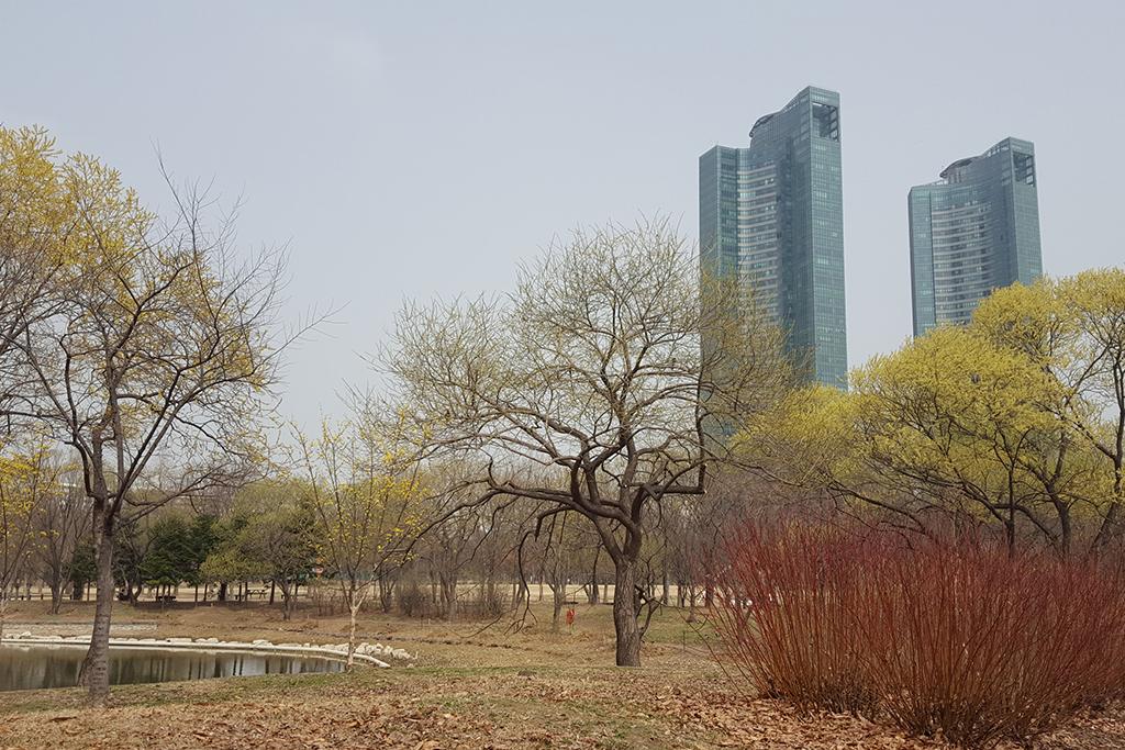 Seoul Forest Stay-93