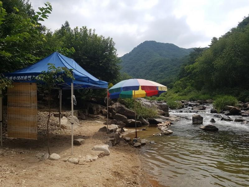 대표 사진