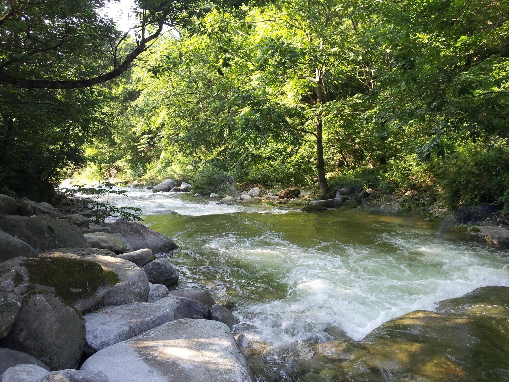 Galcheon Family Resort-6