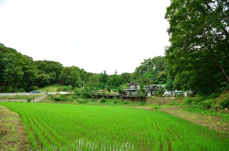Yeoju Pureunhaneul Eunhasu Pension-79