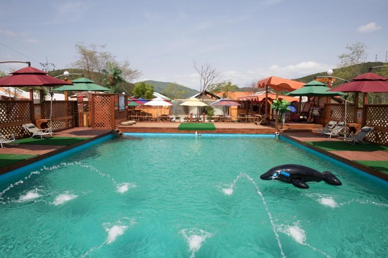 Pocheon Horse Kingdom Glamping-22