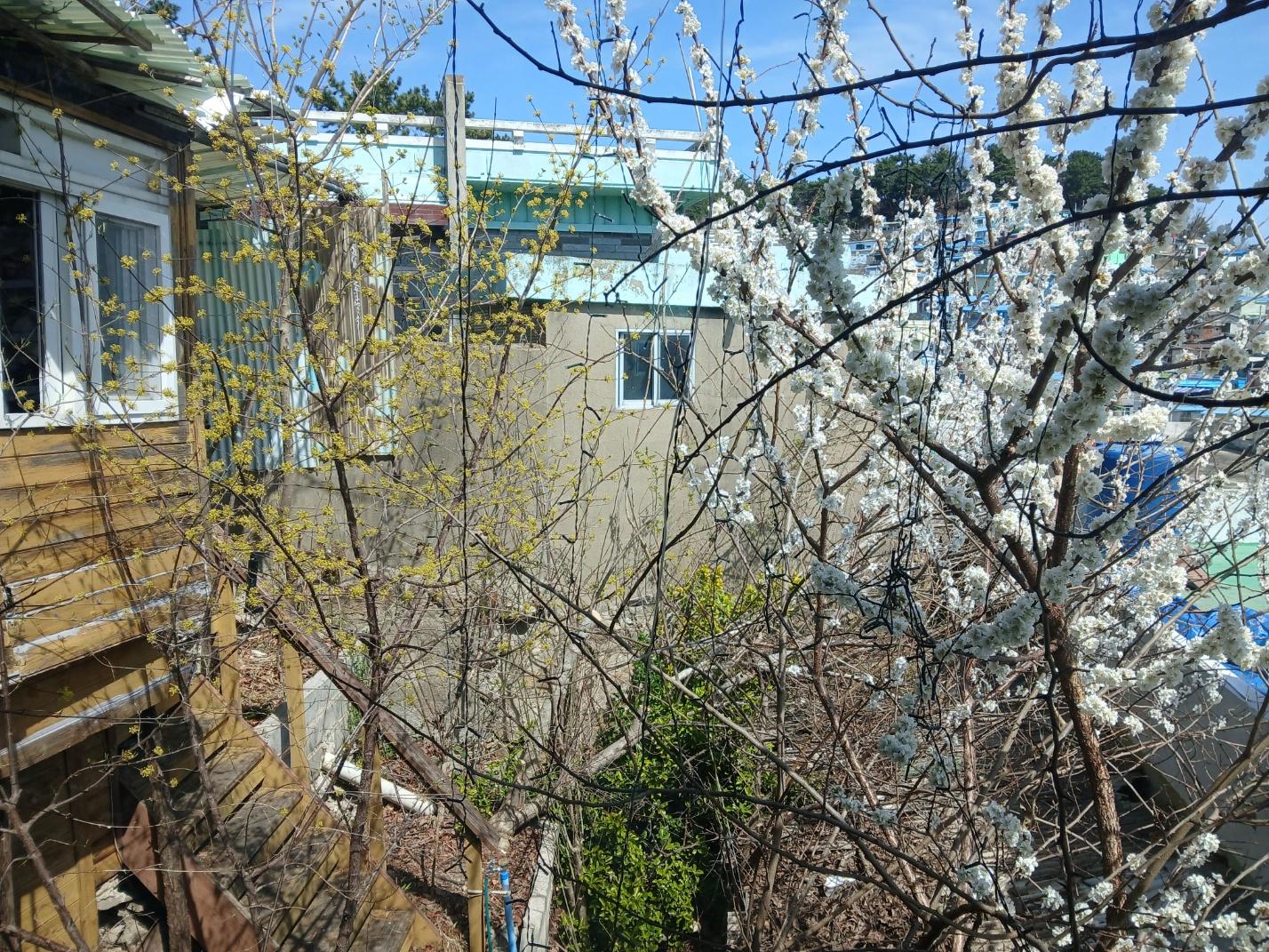 숙소 시설