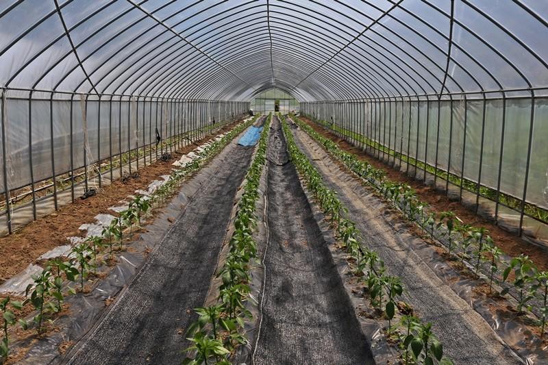 Yangpyeong Haneulbit Pension-16