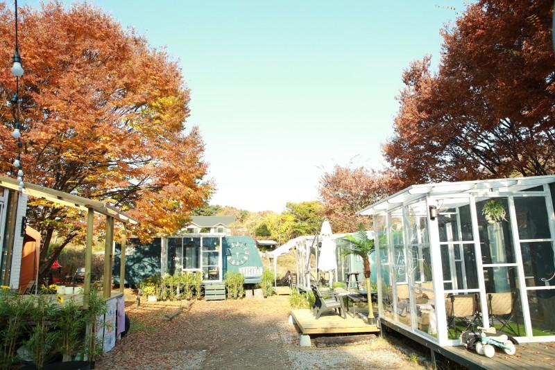 Pocheon Promise Camp-5