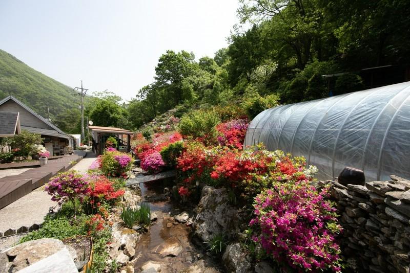 Gapyeong Valley Pension Luan (Valley in front of the pension)-52