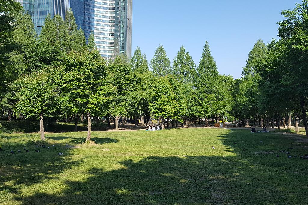 Seoul Forest Stay-82