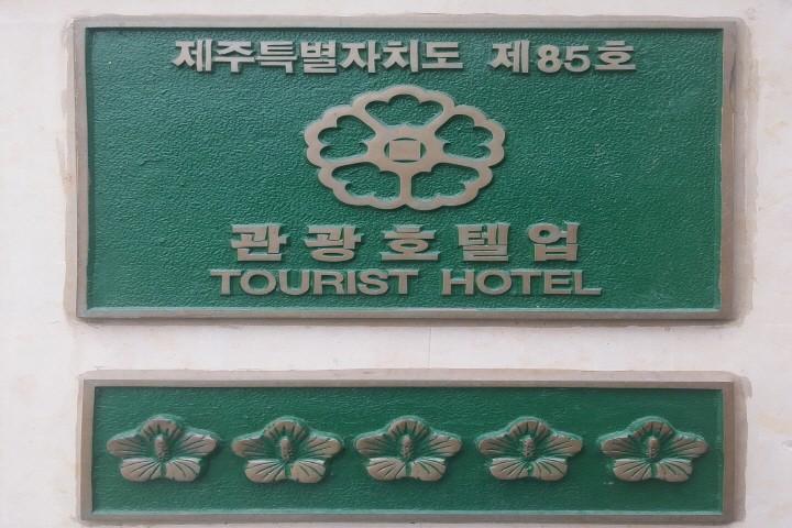 대표 사진