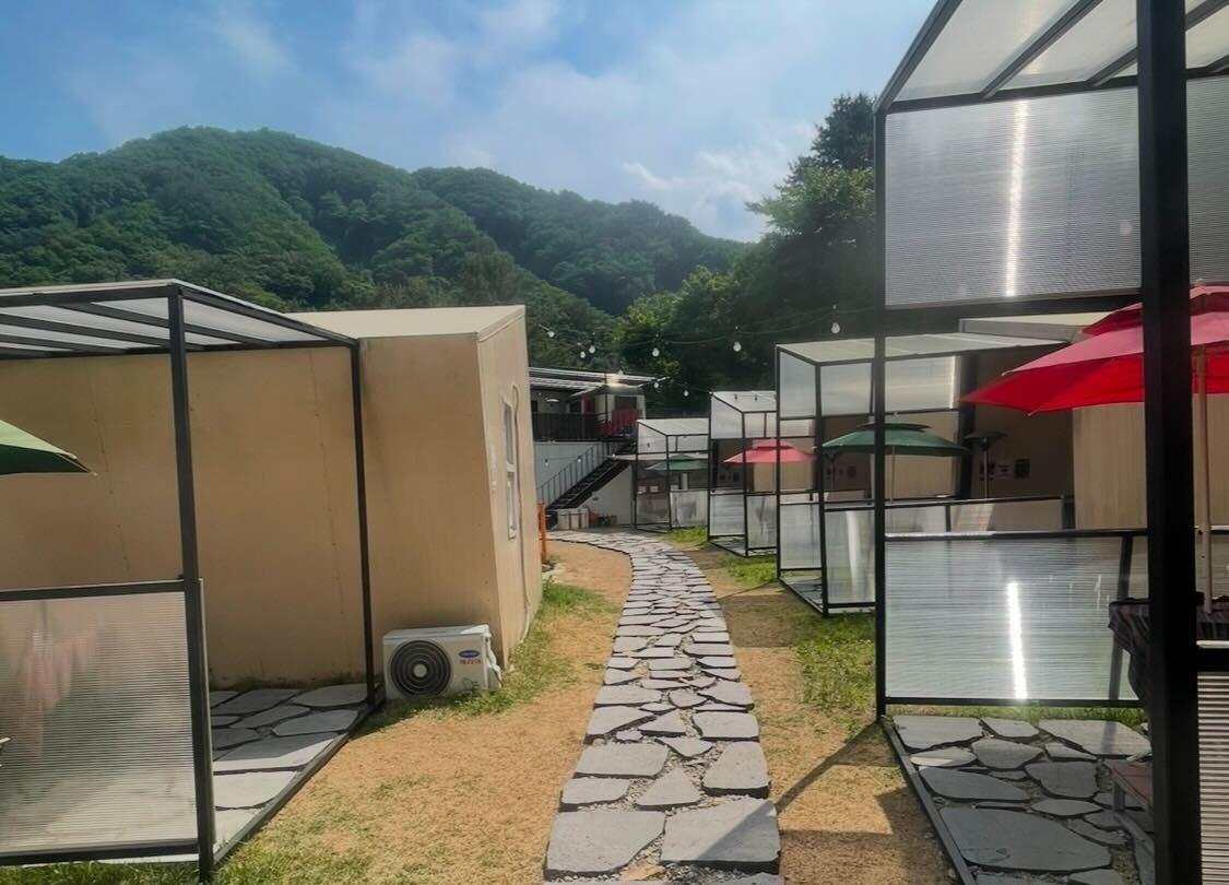 대표 사진
