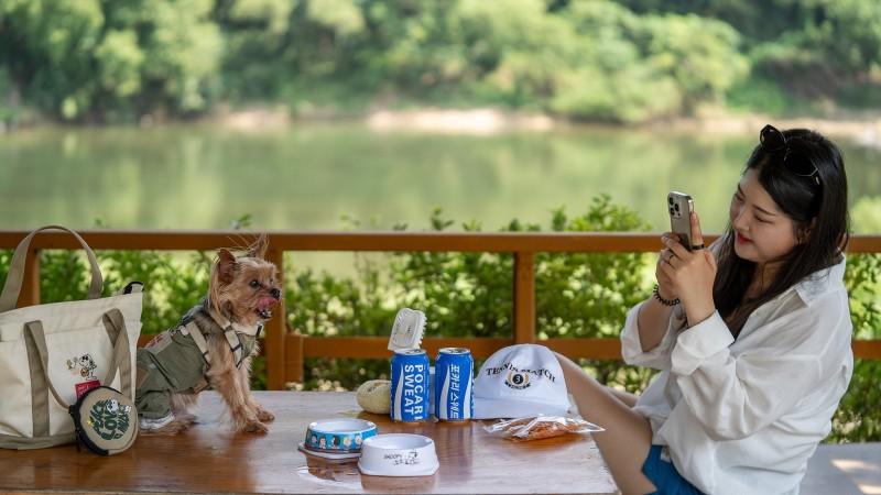 숙소 시설